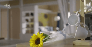 vlcsnap-2015-05-17-15h57m39s175