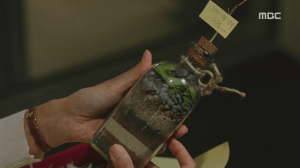 vlcsnap-2015-07-03-13h43m17s124